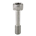 Cover Screws